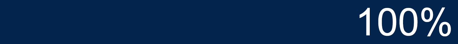 100 percent progress bar